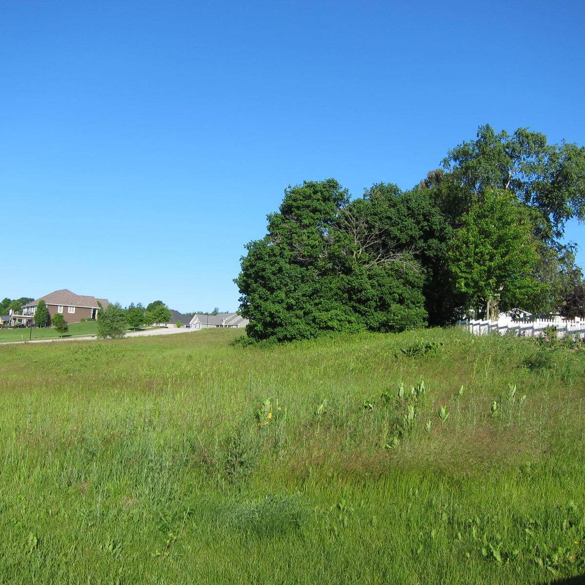 Lt1 Meadow Ridge Ln - Photo 1