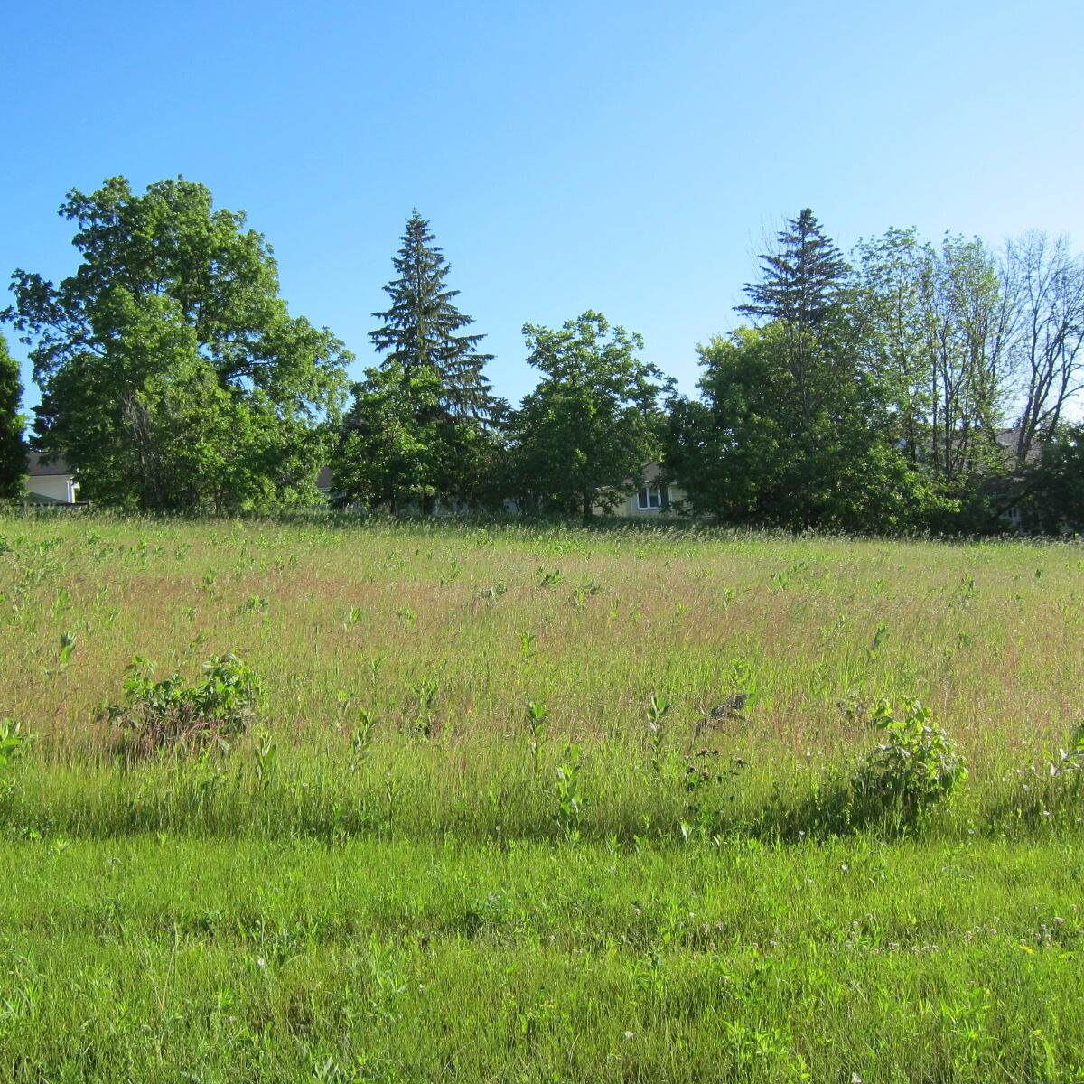 Lt3 Ridge Pointe Dr - Photo 1