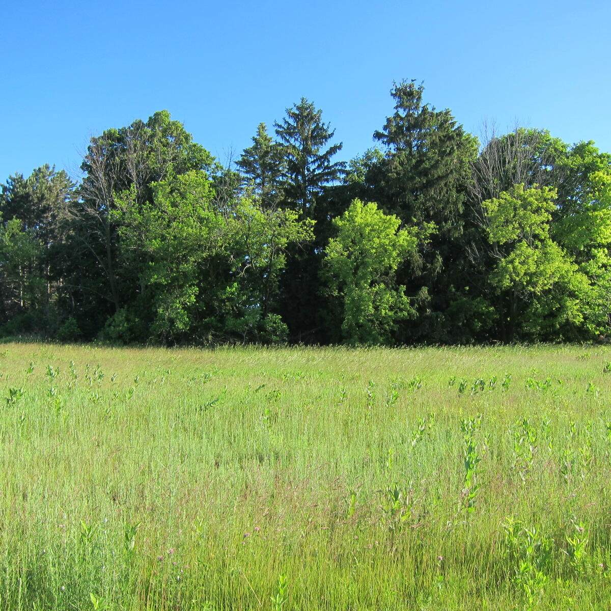 Lt5 Ridge Pointe Dr - Photo 1