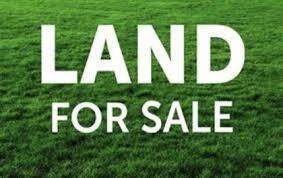 Lot 72 Kings Bluff Estates - Photo 1
