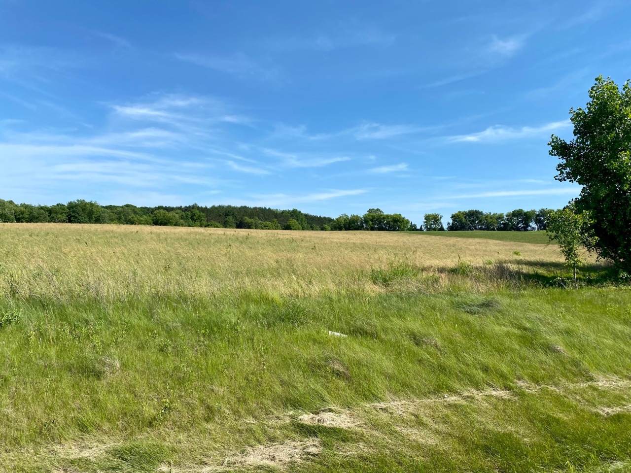 Lt23 Eagle View Dr - Photo 1