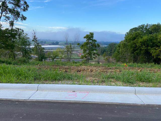 Lot 37 Madison Heights Dr - Photo 1