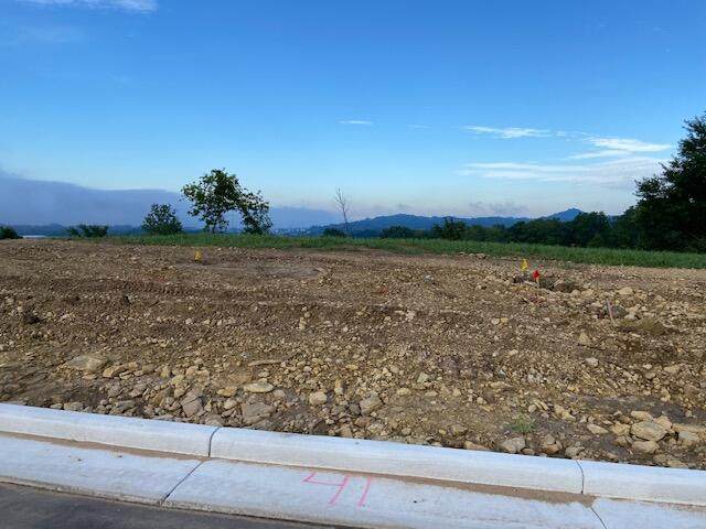 Lot 41 Madison Heights Dr - Photo 1