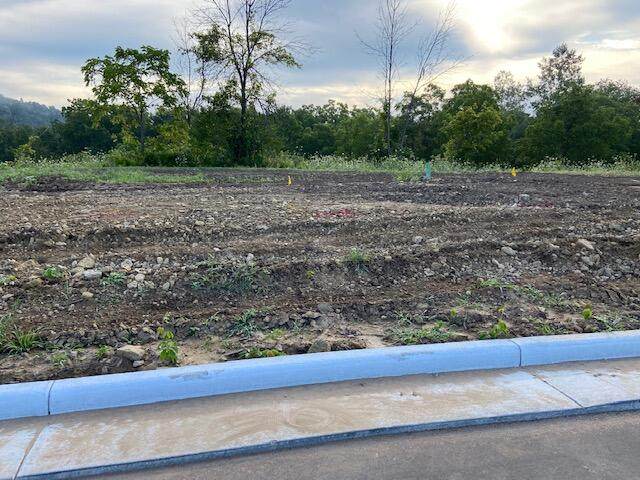 Lot 46 Madison Heights Dr - Photo 1