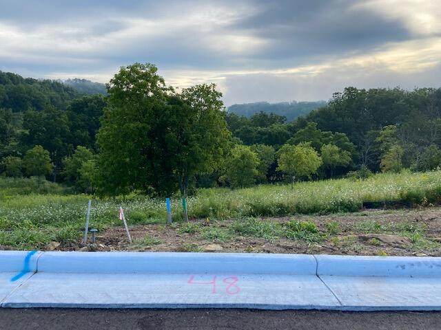 Lot 48 Madison Heights Dr - Photo 1