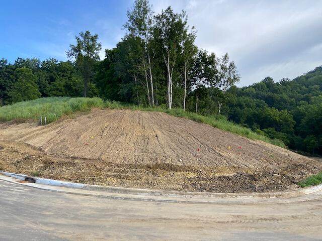Lot 50 Madison Heights Dr - Photo 1