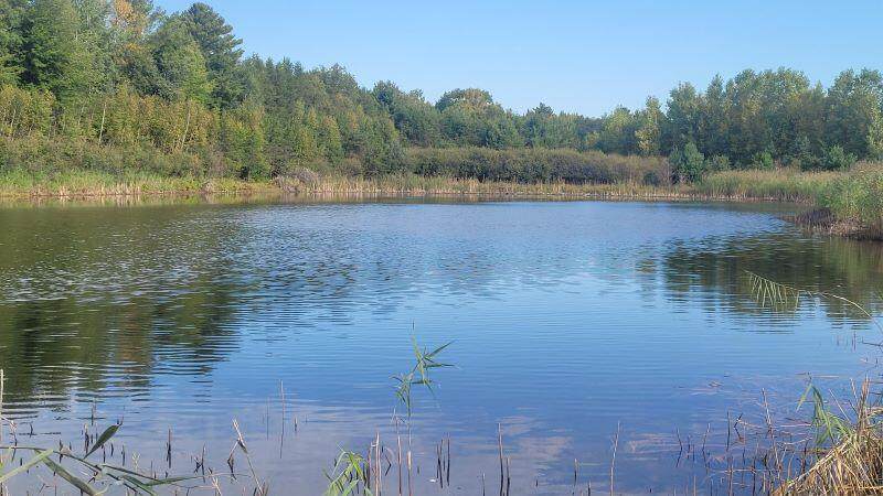 Lt3 Rader Rd - Photo 1