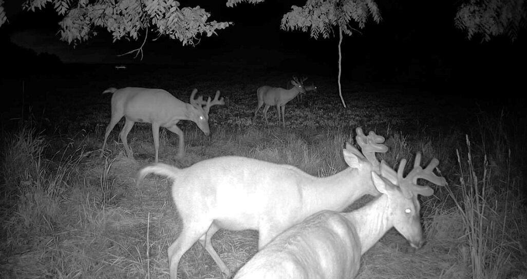 0 County Rd Jj - Photo 1