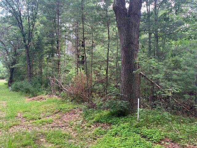 Lt20 3rd Ave - Photo 1