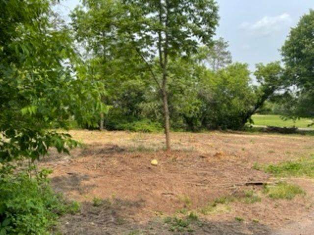 Lt9-12 Ridge St - Photo 1