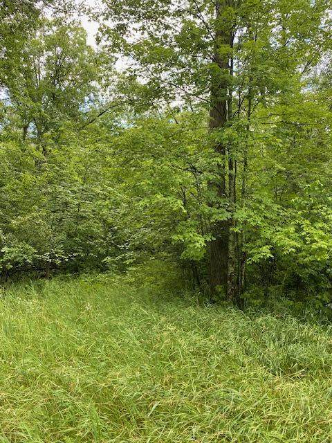 Lt0 Netzel Ln - Photo 1