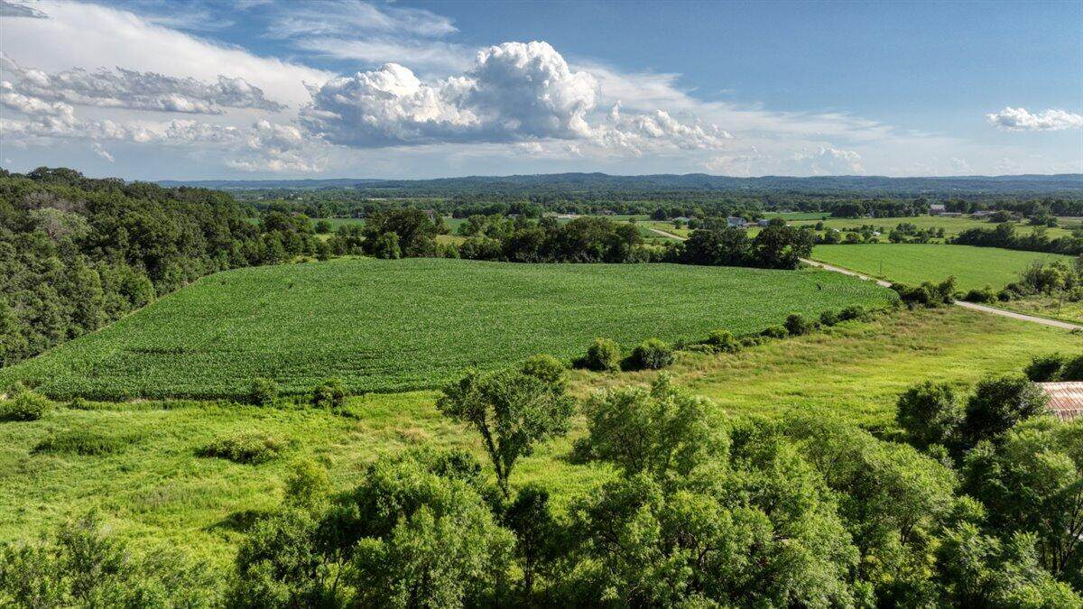 0 Hammer Rd - Photo 1