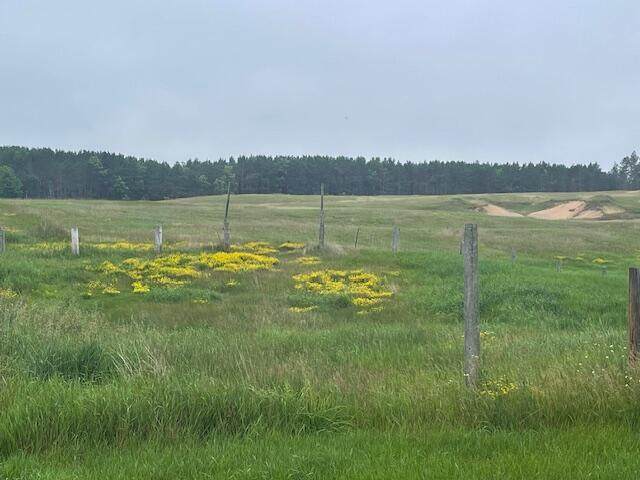 3881 County Highway H - Photo 1