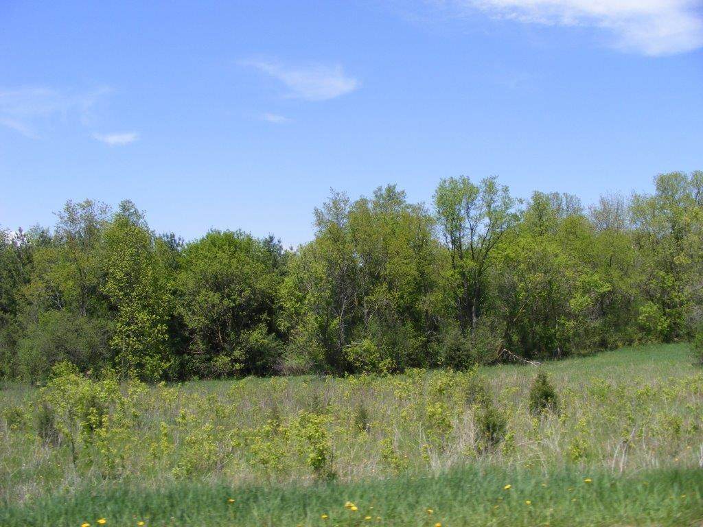 6834 Horseshoe Trl - Photo 1