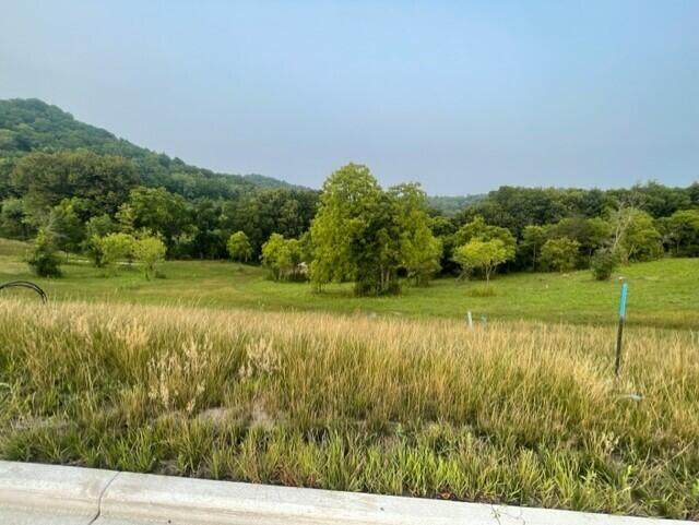 Lot 48 Madison Heights Dr - Photo 1