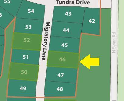 Lt46 Migratory Ln - Photo 1