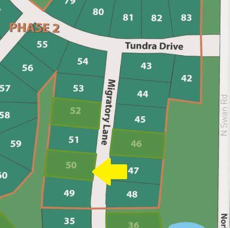 Lt50 Migratory Ln - Photo 1