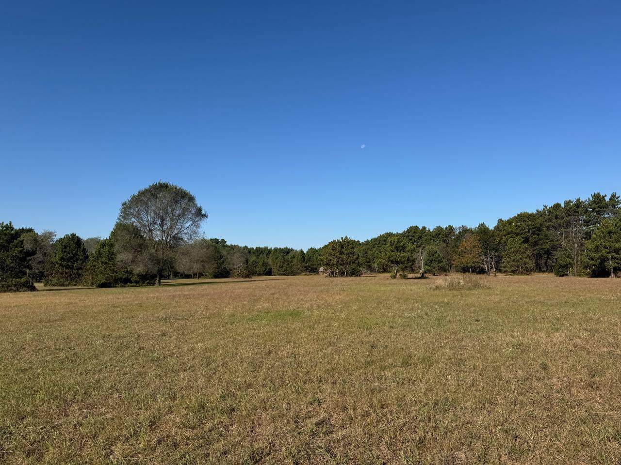 N9298 Mark Trl - Photo 1