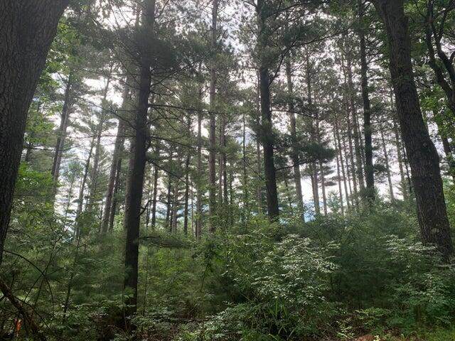 22.35AC On Beaver Ave - Photo 1