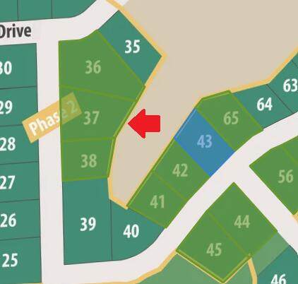 Lt37 Mallard Dr - Photo 1