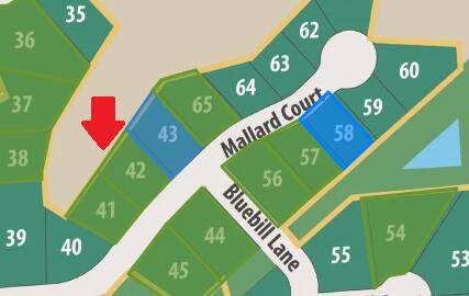 Lt42 Mallard Ct - Photo 1