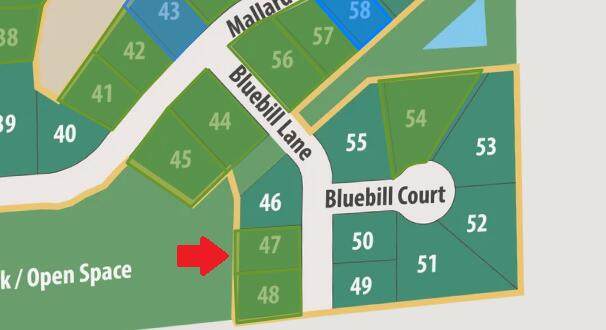 Lt47 Bluebill Ln - Photo 1