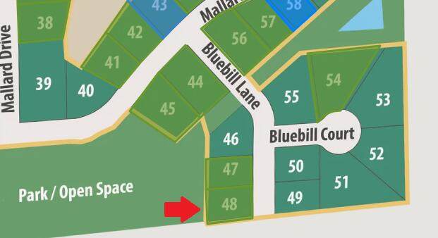 Lt48 Bluebill Ln - Photo 1