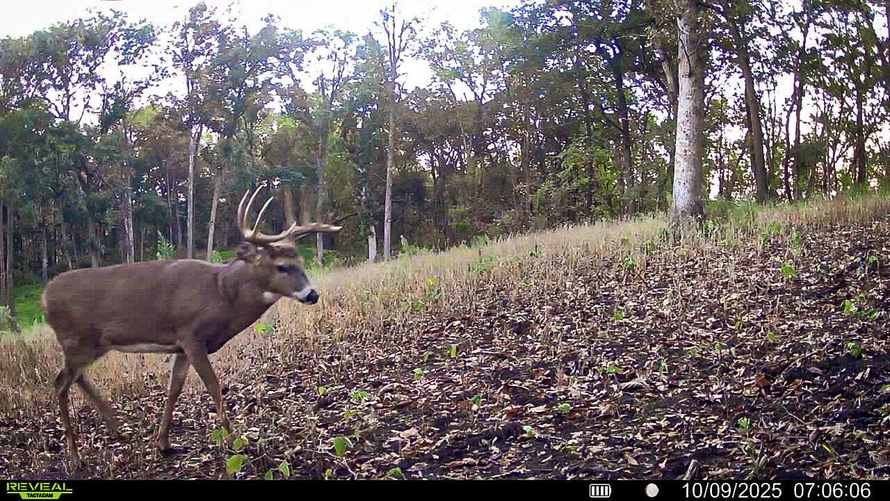 W27022 Whistlers Pass Rd - Photo 1