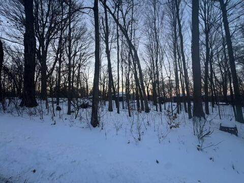 Lt17 Forest Dr - Photo 1