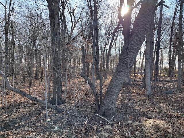 0 River Valley Rd - Photo 1