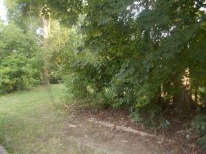 7301 45th Ave - Photo 1