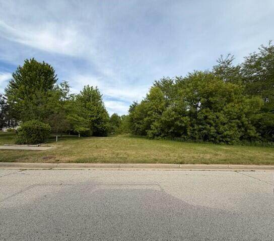 Lt27 Bluebird Hills - Photo 1