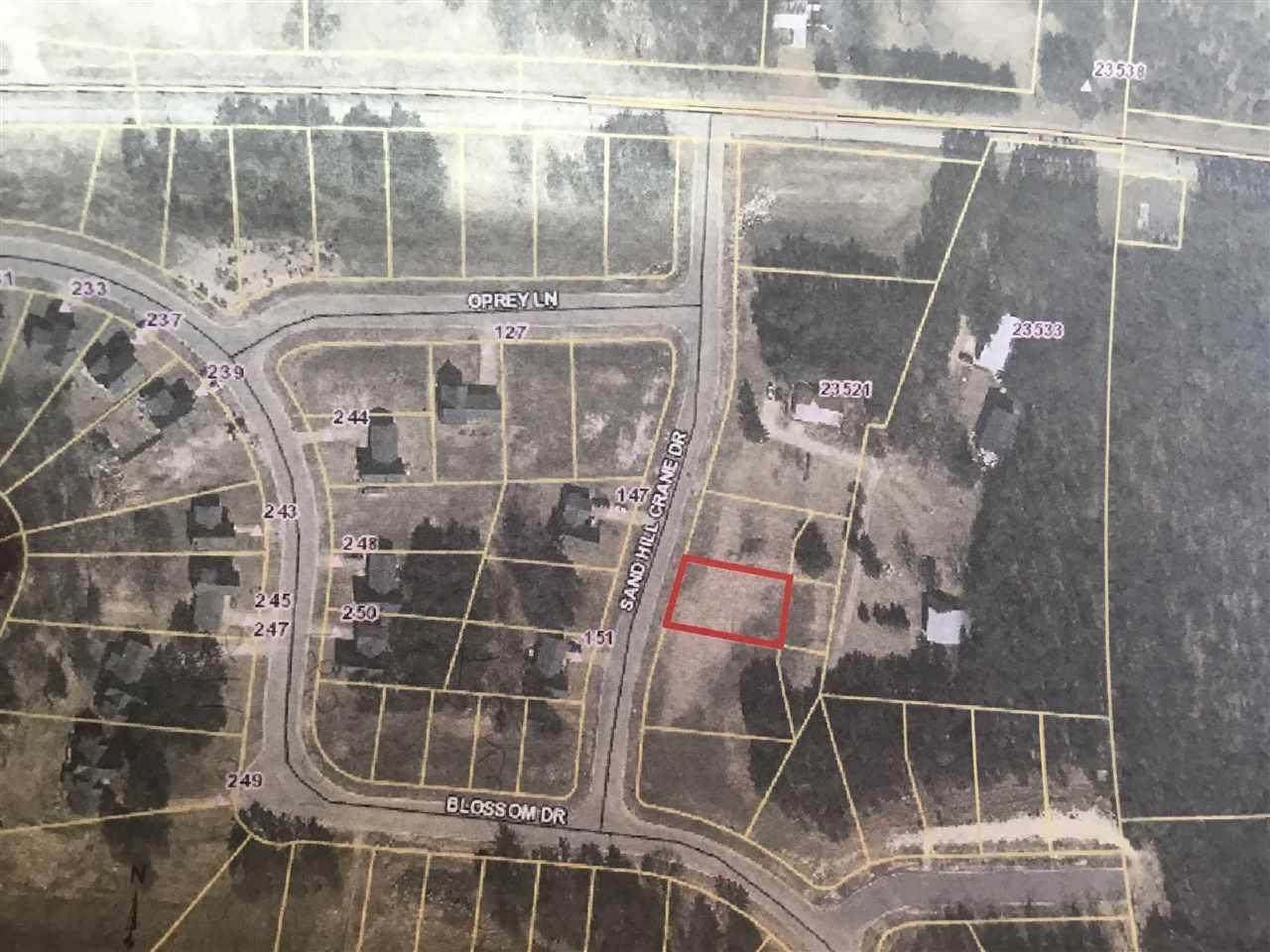 148 Sand Hill Crane Dr - Photo 1