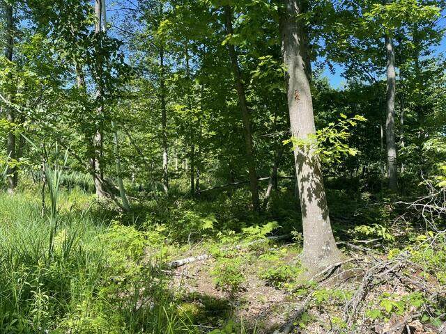 CTY Shawano Line Rd - Photo 1