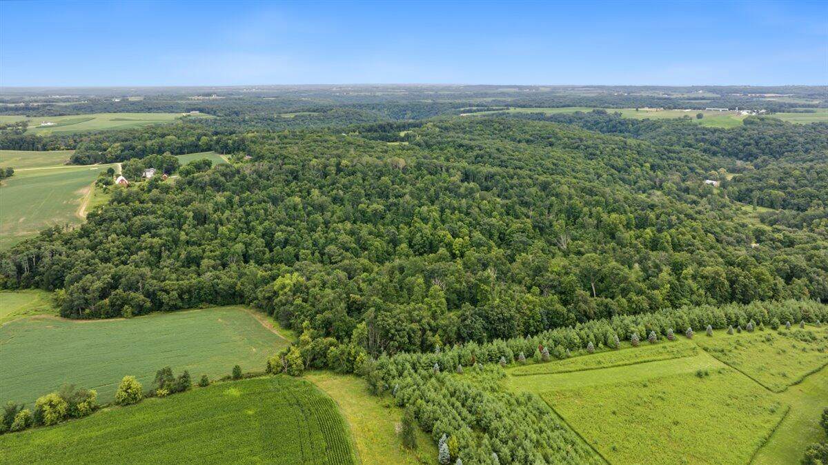 7534 Hinkst Hollow Rd - Photo 1