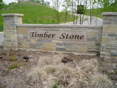 LT26 Timber Stone Subdivision - Photo 1