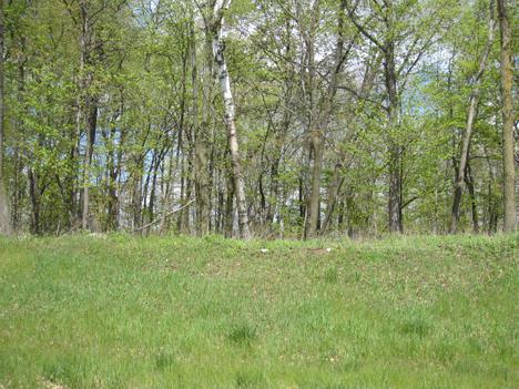 0 Ridge Creek Rd - Photo 1