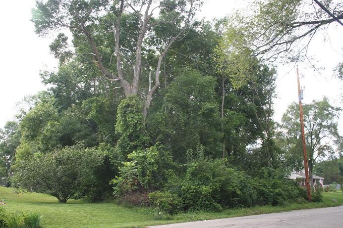 Lt14 Miramar Rd - Photo 1