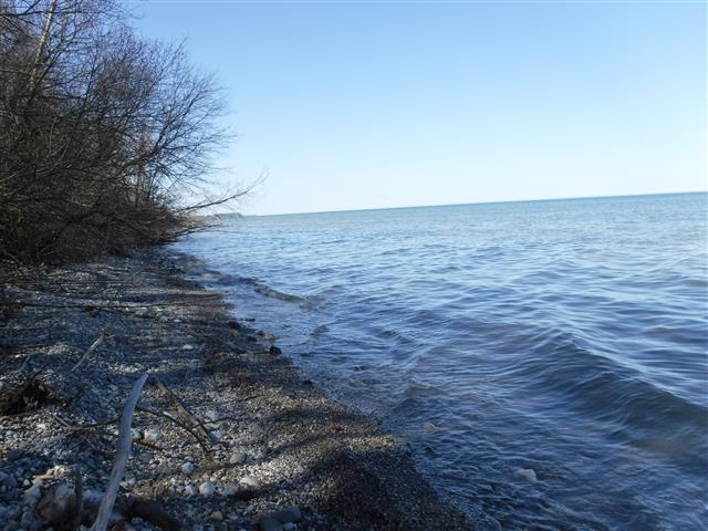 Lot 99 County Road Ls - Photo 1