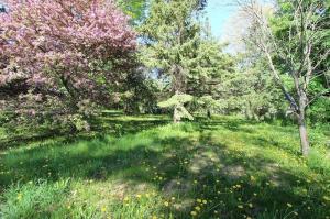 Lot 1 Birch Rd - Photo 1