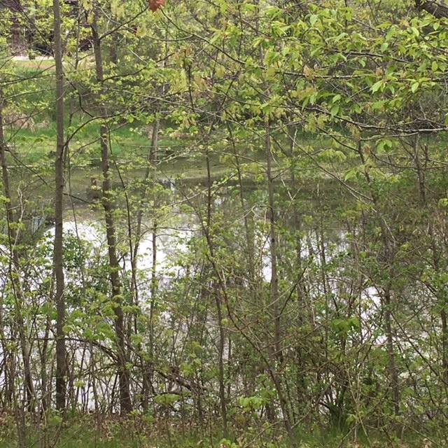 N95W26383 County Road Q - Photo 1