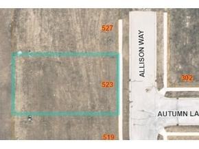 Lt2 Allison Way - Photo 1