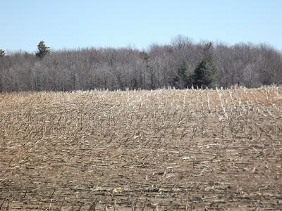 Lot 99 Aspen Rd - Photo 1