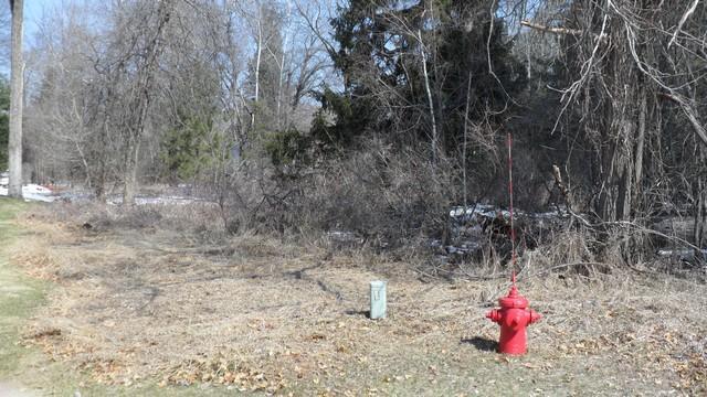 Lt13 Rosa Ave - Photo 1