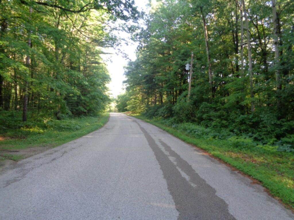 Lt0 Machickanee Ln - Photo 1