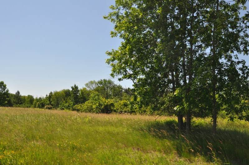 Lt1 Trillium Ct - Photo 1
