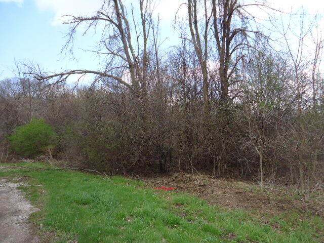 7723 Hagemann Rd - Photo 1