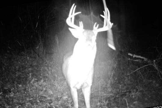 S2318 County Hwy 35 - Photo 1