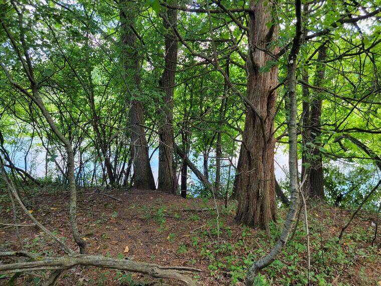 Lt9-13 Road L - Photo 1