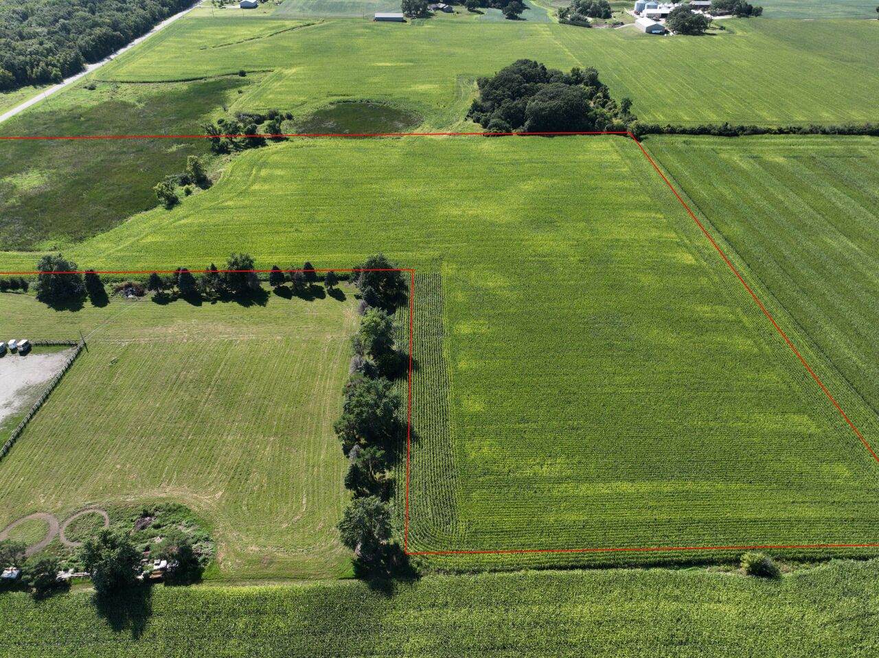 Lt1 Braun Rd - Photo 1